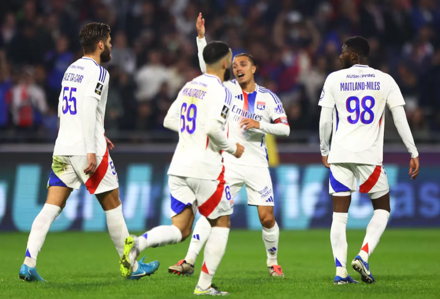Olympique Lyonnais vs Le Havre — Grand Stade Olympique Lyonnais, Decines Charpieu